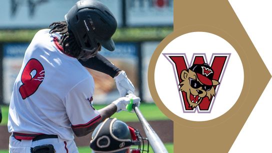 Chatham, Roberts contribute in comeback loss taken in Avon, Ohio (Wild Things)