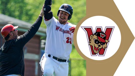 Reed, Czech homer in win over Lake Erie taken in Avon, Ohio (Wild Things)